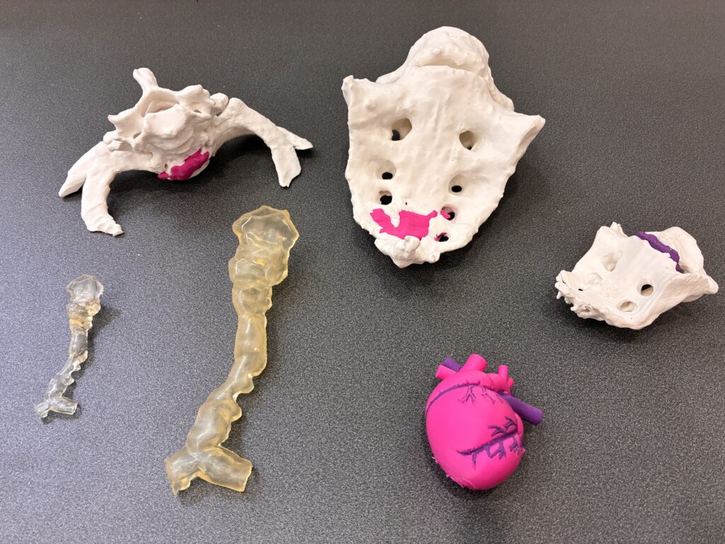 3-D preinted models